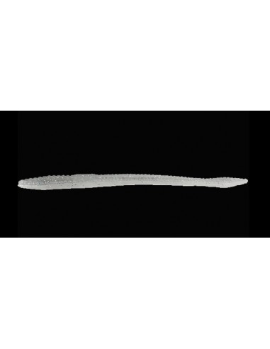 Finesse Worm color Smokin Shad