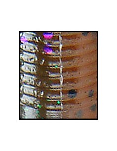 California Roll color 926