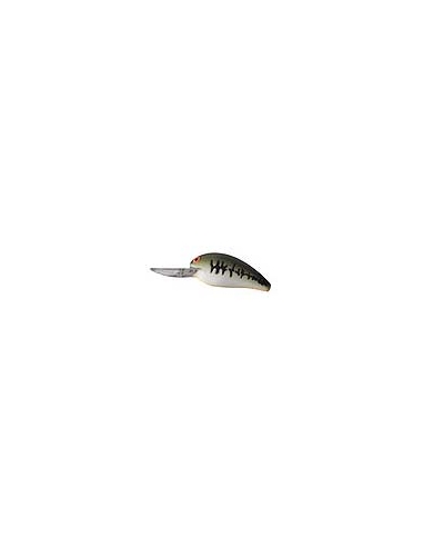 Model A B05A color BBO Baby Bass / Orange Belly (Bass Vientre Na