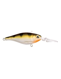 X-Rap Shad Slashbait 06 color Yellow Perch