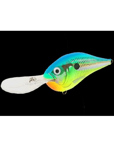 DT 04 color Parrot