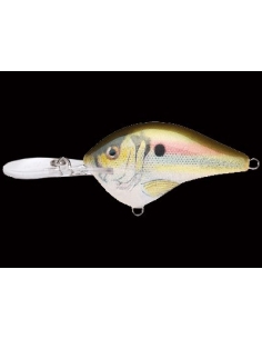 DT 10 color Live River Shad