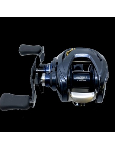 2021 DAIWA STEEZ A TW HLC 7.1L