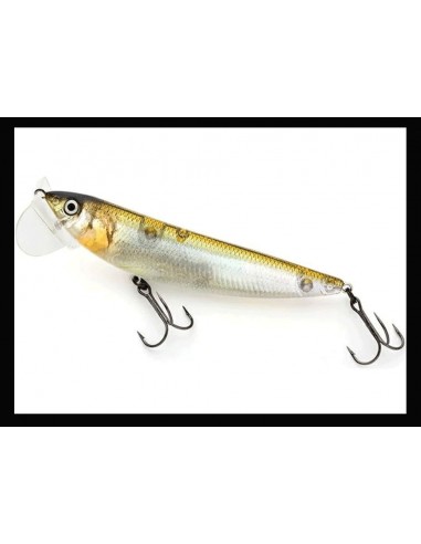 LOT BT100, 12g color 904