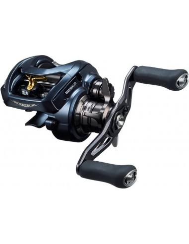 2023 DAIWA STEEZ A II TW XHL 8.5:1