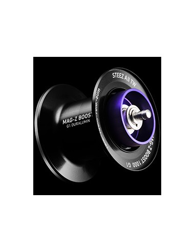 2023 DAIWA STEEZ A II TW XHL 8.5:1