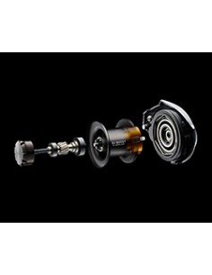 2023 DAIWA STEEZ A II TW... 2