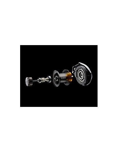 2023 DAIWA STEEZ A II TW XHL 8.5:1