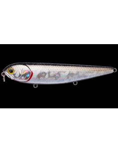 Sammy 105 color BP Golden...
