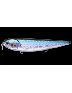 Sammy 105 color MS MJ Herring
