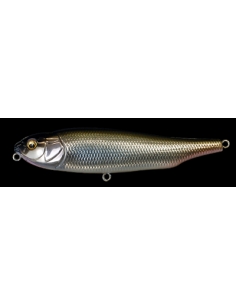 Gigant Dog X color M Cosmic Shad