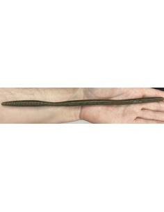 Oki Worm 10" color 297... 2