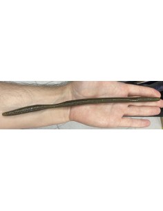 Oki Worm 10" color 301... 2