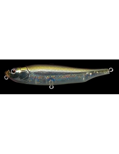 Gigant Dog X color HT Ito Tennessee Shad