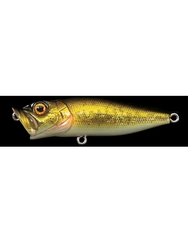 Pop X color GG Bass