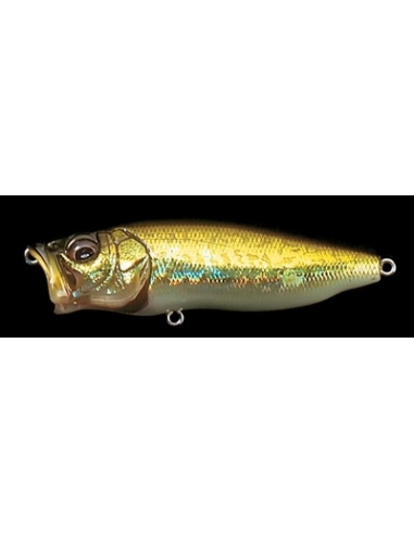 Pop Max color GG Bass