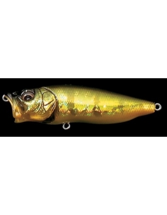 Pop Max color GG Peacock