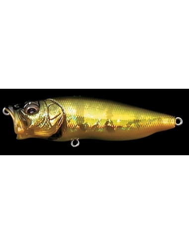 Pop Max color GG Peacock