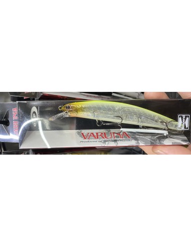 Varuna SP color GH-64