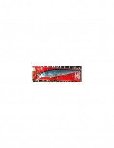 Pointer 100 3 poteras color...