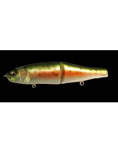 XS-Limberlamber color Rainbow Trout
