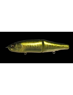 XS-Limberlamber color Bass