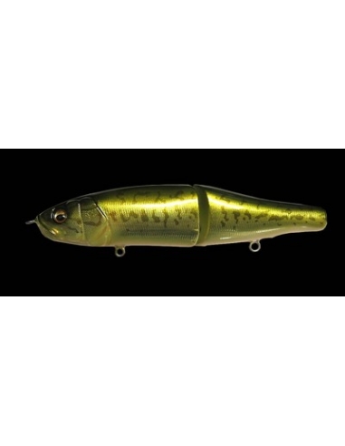 XS-Limberlamber color Bass