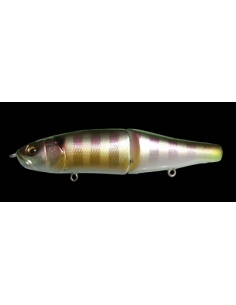 XS-Limberlamber color Gill