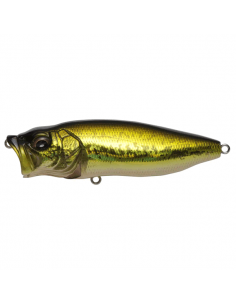 Pop Max color FA Bass