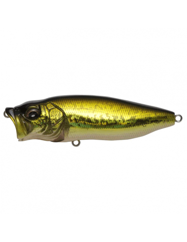 Pop Max color FA Bass