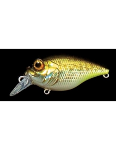 SR-X Griffon color GG Bass