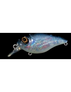 SR-X Griffon color GP Pro-Blue