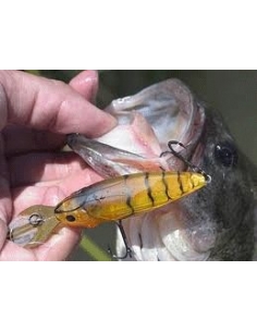 Bait-X color Ito Shrimp