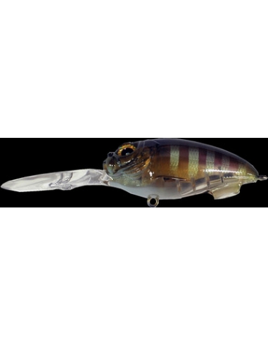 MD-X Cyclone color NC-Gill