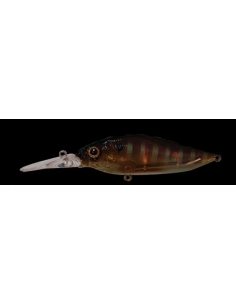 Diving Flap Slap color NC-Gill
