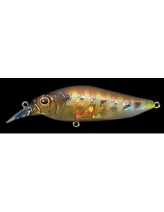 Flap Slap color GG Gill