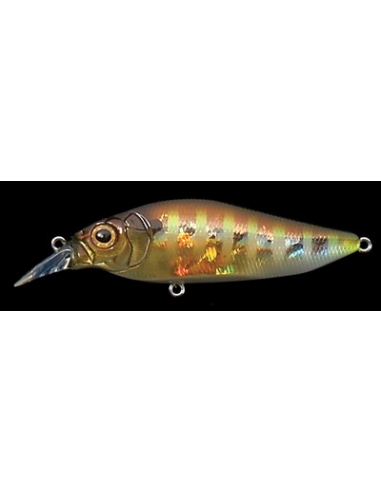 Flap Slap color GG Gill
