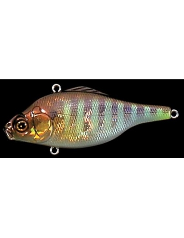 Vibration-X Ultra Ratle color GG Gill