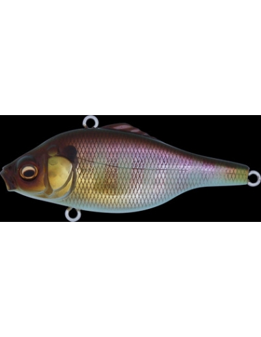 Vibration-X Smatra color GG Gill