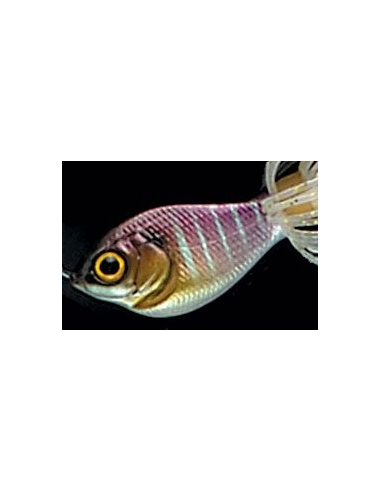 V-3 Flat Shad Palas 4 color Blue Gill