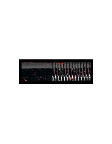 Triple Ripple Craw Trailer color Black Red