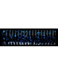 Triple Ripple Craw Trailer color Negro/Purpurina Azul