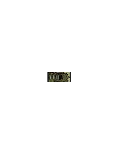 Skirted Twin Tail Grub 5" color Watermelon