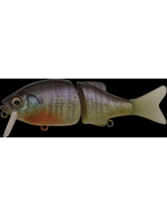 Chad Crank color Live Dip Spawning Orange Gill