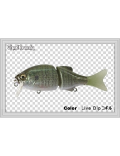 Chad Crank color Live Dip Kogill