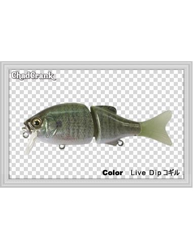 Chad Crank color Live Dip Kogill