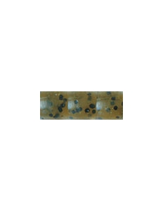 Kincoo 6" color Watermelon