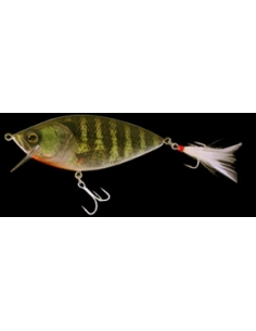 Realiser color Real Gill