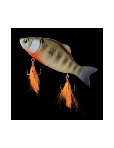 Killercompass color Blue Gill
