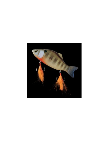 Killercompass color Blue Gill